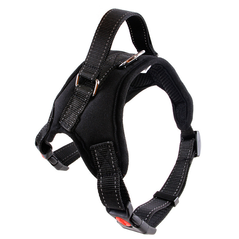 Pet Supplies Medium and Large Dog Dog Collar - Image 8