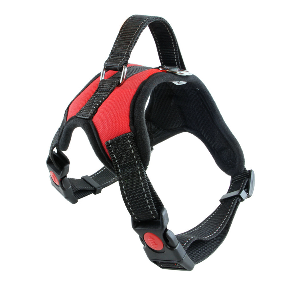 Pet Supplies Medium and Large Dog Dog Collar - Image 2