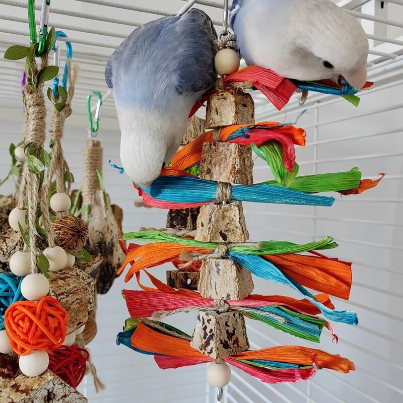 Parrot Toys Parrot Bite Supplies Bird Stand Rod Bird Cage - Image 7