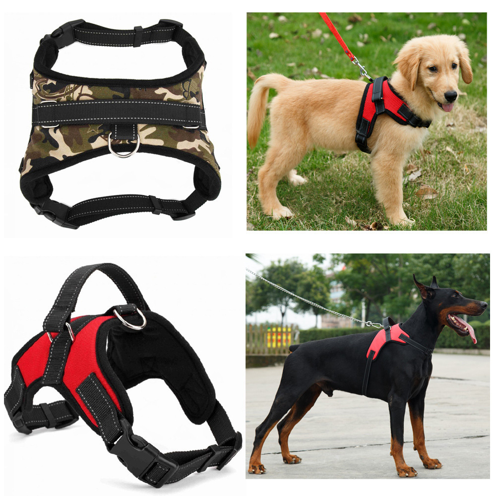 Pet Supplies Medium and Large Dog Dog Collar - Image 4